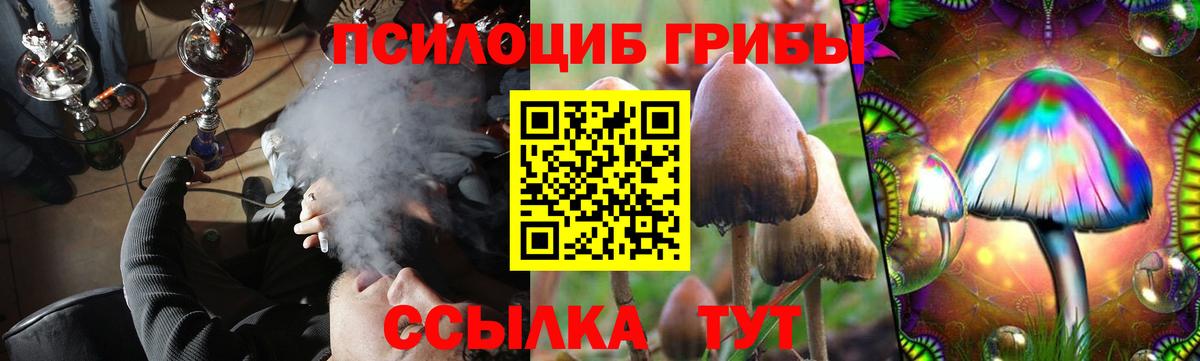 Псилоцибиновые грибы GOLDEN TEACHER  Вход с VPN  Верхняя Пышма 